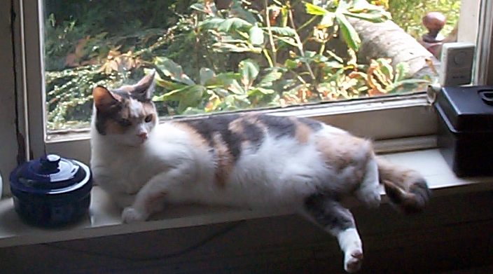 Jess